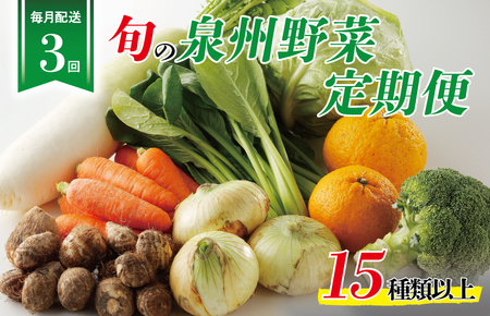 泉州野菜 定期便 全3回 15種類以上 詰め合わせ 国産 新鮮 冷蔵[毎月配送コース]
