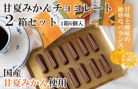 [スピード発送]甘夏みかんチョコレート 2箱セット 瀧のしずく