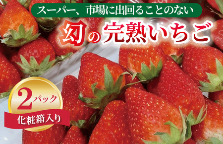 [先行予約/2025年1月上旬以降発送]朝摘み完熟いちご 2パック化粧箱入り