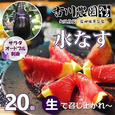[20本]古川農園 「生水なす」2個入×10袋 そのまま食べられる青果で水なすを産地直送でお届け!_野菜 茄子 なす ナス_