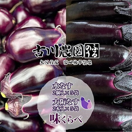 [産地直送]古川農園「大阪なす」と「水なす」の食べ比べセット_野菜 茄子 なす ナス_