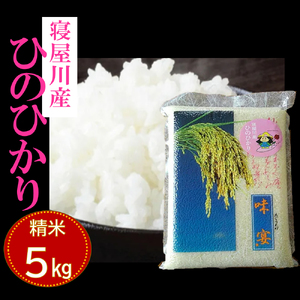 寝屋川産 ひのひかり5kg 精米|お米 米 コメ ごはん [0960]