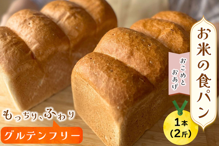 グルテンフリー専門店の米粉100% お米の食パン|パン 食パン 米粉 米粉パン [1173]