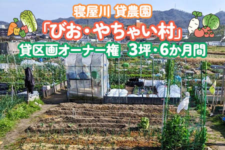 寝屋川農園「びお・やちゃい村」貸区画オーナー権 (3坪・6か月間)|貸し農園 家庭菜園 自家栽培 収穫体験 農業体験 果物 野菜 数量限定 大阪府 寝屋川市 [0022]