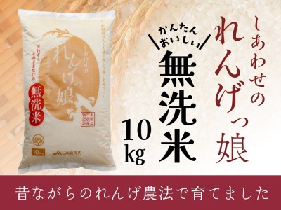 しあわせのれんげっ娘10kg (無洗米)｜ヒノヒカリ 米 コメ こめ お米 おこめ おコメ [0489]