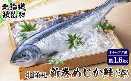 k V߂ipj1.6kgIz[cNYy1600301z