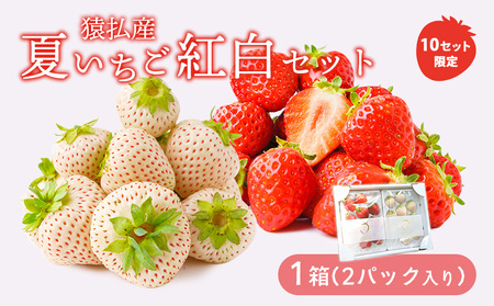 猿払産夏いちご紅白セット(1箱2パック入り)[14010]