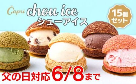 シューアイス GIFT BOX 15個セット　シュークリーム チョコ バニラ アイス お菓子 個包装 おやつ デザート スイーツ かわいい スウィーツ 洋菓子 小分け 一人暮らし 大人気 お取り寄せグルメ 人気 冷凍配送 送料無料 母の日 父の日 贈り物 プレゼント