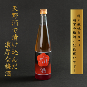 日本酒で漬け込んだ濃厚梅酒 天野酒 梅酒 500ml|享保三年に創醸の蔵元 手間暇を惜しまず一滴一滴 日本酒で漬け込んだ濃厚な手作り梅酒|甘さ控えめ 氷砂糖使用 国産梅使用 ギフト 贈答 お取り寄せ 高級梅酒 手仕込み プレゼントにも最適