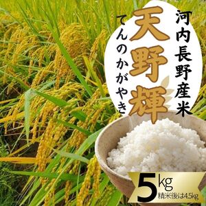 河内長野産米 ヒノヒカリ 「天野輝」 5kg(精米後約4.5kg) 米 コメ こめ 新米 白米