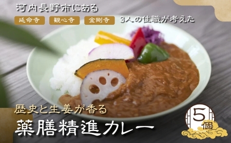 歴史と生姜が香る 薬膳精進カレー 観心寺 金剛寺 延命寺 住職発案 人気レストラン 創作精進料理KU-RI 監修 肉 魚 五辛 不使用 健康 簡単調理 レトルトパック こだわりの逸品 地域特産品 ギフト 自分用 人気 おすすめ
