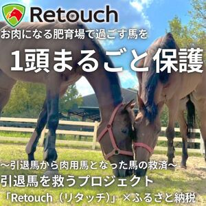 ޔn~nɉ`uRetouchi^b`jvx`ӂ邳Ɣ[Ō@P܂邲ƕی