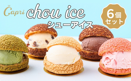 シューアイス GIFT BOX 6個セット シュークリーム チョコ バニラ アイス お菓子 個包装 おやつ デザート スイーツ かわいい スウィーツ 洋菓子 小分け 一人暮らし 大人気 お取り寄せグルメ 人気 冷凍配送 送料無料 母の日 父の日 贈り物 プレゼント