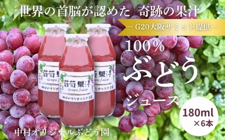 100ԂǂW[X G20T~bg IWiԂǂ Y  x20x EF߂Xg[gW[X Mtg i { YԂǂgp   ͓