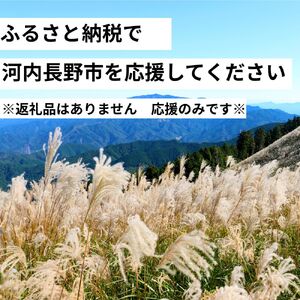 河内長野市を応援してください! 大阪府河内長野市 応援寄付金 1000円 ふるさと納税(謝礼品なし)