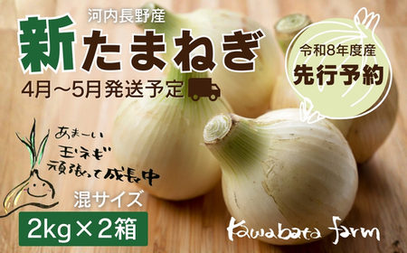 [令和8年度産新玉ねぎ先行予約]新玉ねぎ 2kg×2箱 ※4月〜5月発送予定