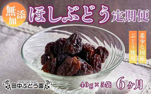 【定期便　毎月お届け6ヵ月】ほしぶどう 40g×5袋