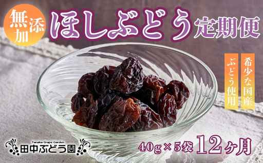 【定期便　毎月お届け12ヵ月】ほしぶどう 40g×5袋