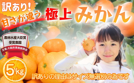 先行予約 2026年11月下旬より発送 [ 訳あり ] 甘さが違う極上みかん 5kg