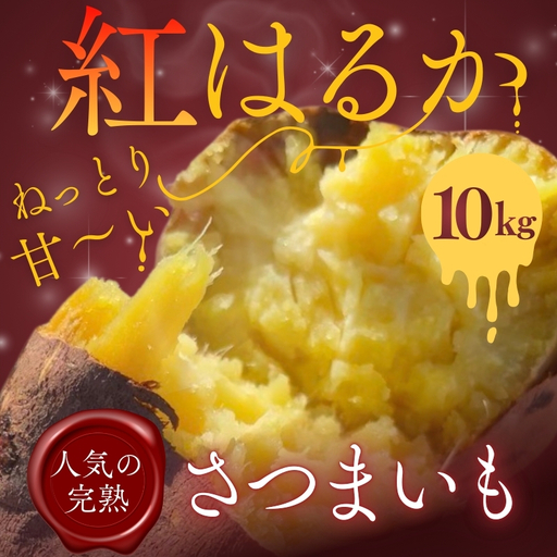 【2026年11月発送分先行予約！】紅はるか さつまいも 10kg