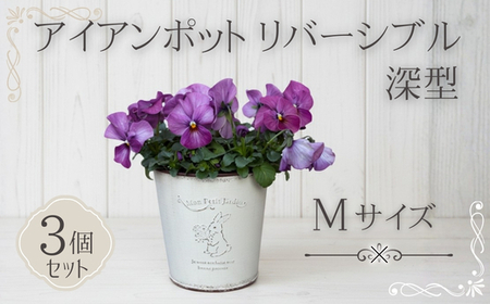 アイアンポット リバーシブル M 深型 3個セット