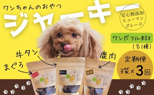 [定期便 毎月お届け3か月]ワンちゃんのギフト ワンだフルBOX 〜ジャーキー三種セット〜
