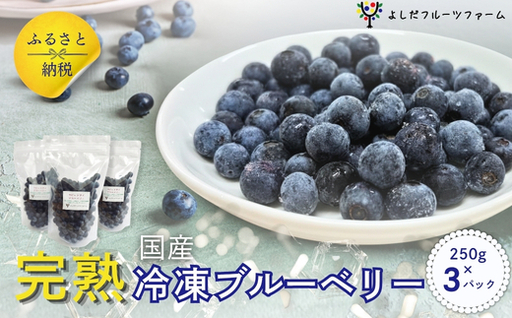 [2026年8月中旬〜順次発送]国産 冷凍ブルーベリー 750g (250g×3パック)