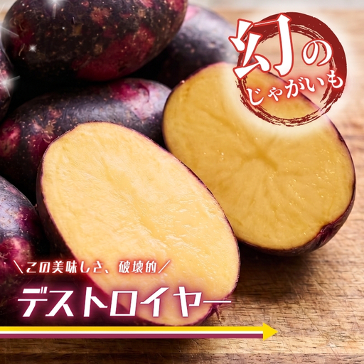 じゃがいも デストロイヤー 2kg