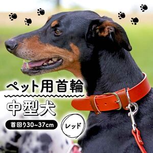 ペット用首輪 中型犬用 レッド 首回り30-37cm ペット 犬 愛犬 ワンちゃん 中型犬 首輪 リード 本革 レザー 牛革 牛 散歩 さんぽ ウォーキング 健康 おしゃれ 消耗品