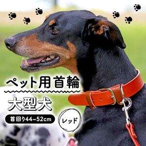 ペット用首輪 大型犬用 レッド 首回り44-52cm ペット 犬 愛犬 ワンちゃん 大型犬 首輪 リード 本革 レザー 牛革 牛 散歩 さんぽ ウォーキング 健康 おしゃれ 消耗品