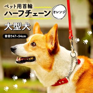 ペット用首輪 ハーフチェーン 大型犬用 オレンジ 首回り47-54cm ペット 犬 愛犬 ワンちゃん 大型犬 首輪 リード 本革 レザー 牛革 牛 散歩 さんぽ ウォーキング 健康 おしゃれ 消耗品