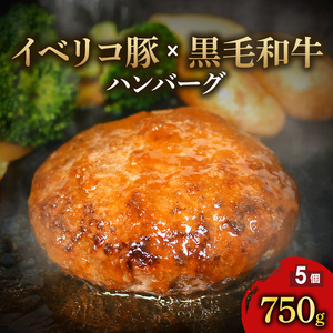 イベリコ豚 黒毛和牛 合いびきハンバーグ 150g×5個 国産 牛肉 冷凍 手作り 手ごね 和牛 簡単調理 おかず 惣菜 晩ごはん 選べる 贅沢 ギフト 贈答 合挽きハンバーグ あいびき 合い挽き ハンバーグハンバーグハンバーグハンバーグハンバーグ