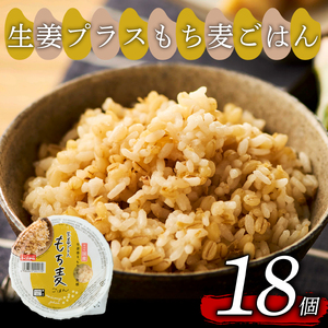 生姜プラスもち麦ごはん 160g×18個 お米 レトルト 食品 無添加 国産 レンジで簡単 温めるだけ ギフト 引っ越し 挨拶 出産 内祝い お歳暮 備蓄米