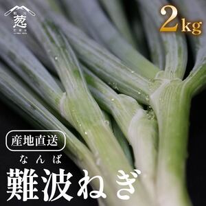 [先行予約]11月配送 難波葱 2kg ねぎ 葱 鍋 青ねぎ 白ねぎ 野菜 旬 やさい 産地直送 採れたて 直送 フルーツ 果物 と同糖度 なにわ 伝統野菜 鍋セット 河内 大阪府 松原市 ねぎ 葱 