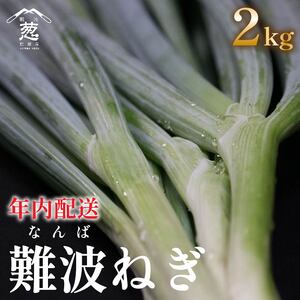 [先行予約][年内発送]12月配送 幻のねぎ 難波葱 2kg ねぎ 葱 鍋 青ねぎ 白ねぎ 野菜 旬 やさい 産地直送 採れたて 直送 フルーツ 果物 と同糖度 なにわ 伝統野菜 鍋セット 河内