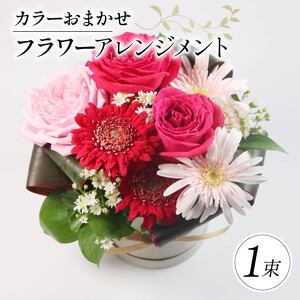 季節限定 フラワーアレンジメント おまかせカラー 花束 花 お花 生花 旬 おまかせ ブーケ 誕生日 お祝い プレゼント ギフト 記念日 贈り物 贈答用 母の日 父の日 自宅用 ラッピング アレンジ フラワー 雑貨 インテリア 人気 切花 エコ ゼリー 大阪府 松原市