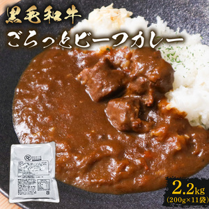 訳あり 黒毛和牛 ビーフカレー 2.2kg レトルト パウチ 200g×11袋 レトルトカレー 和牛 牛カレー 黒毛和牛カレー 訳ありカレー 和牛カレー