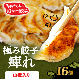 山椒餃子 16個 期間限定 にんにく 不使用 ヘルシー 冷凍 餃子餃子餃子餃子餃子餃子