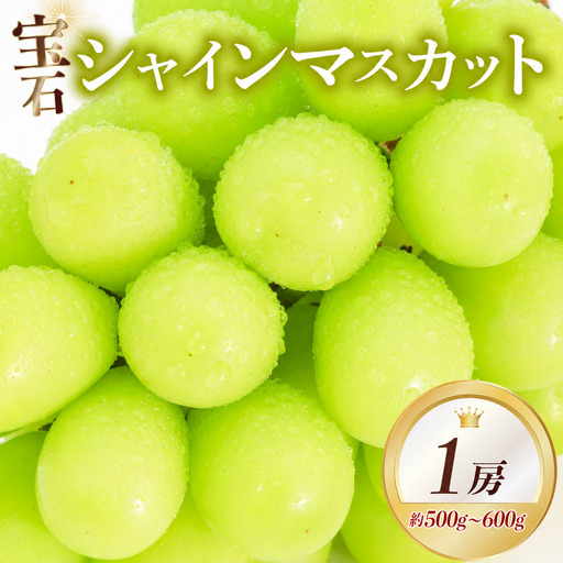 [先行予約]シャインマスカット 500g×1房 数量限定 大粒 種なし 皮ごと ぶどう フルーツ