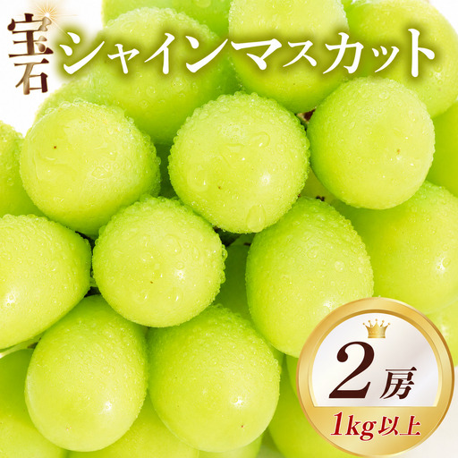 [先行予約]シャインマスカット 500g×2房 1kg 数量限定 大粒 種なし 皮ごと ぶどう