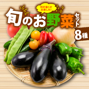 [厳選] 野菜セット 1回