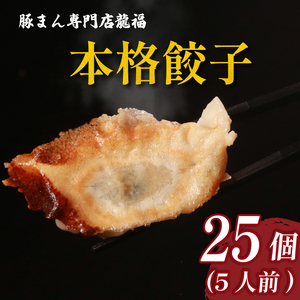 餃子 25個 冷凍 中華料理