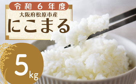 [ 令和6年度産 ] お米 5kg にこまる