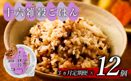 [ 栄養満点 ] 定期便3回 十六 雑穀 ごはんパック 160g 12個