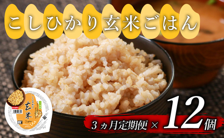 [定期便3回] 玄米ごはんパック 160g 12個 こしひかり
