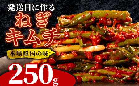 【 旨辛 】 ねぎキムチ 250g 冷蔵 手作り かわち屋