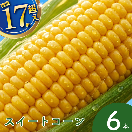とうもろこし 6本 トウモロコシ
