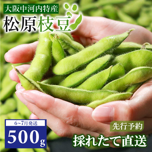 [先行予約][濃厚な甘み]有機肥料 枝豆 大粒 500g 冷蔵 上田ファーム