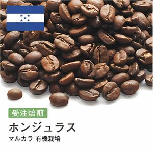 コーヒー豆 #189 ホンジュラス マルカラ 有機栽培 オーガニック 受注焙煎!310g 珈琲豆 コーヒー豆 自家焙煎