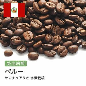 コーヒー豆 #190 ペルー サンチュアリオ 有機栽培 Qグレード 受注焙煎!310g 珈琲豆 コーヒー豆 自家焙煎